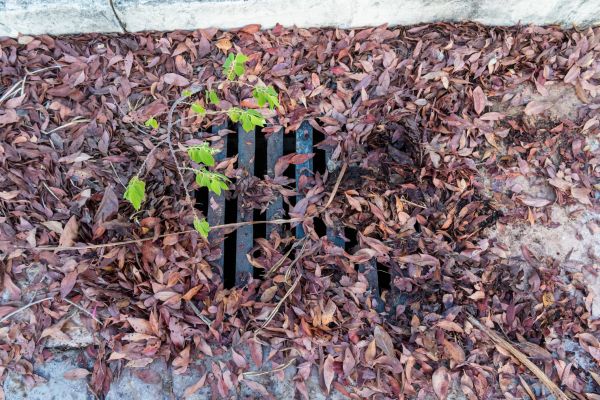 Yard Drain Unclogging in Lansing
