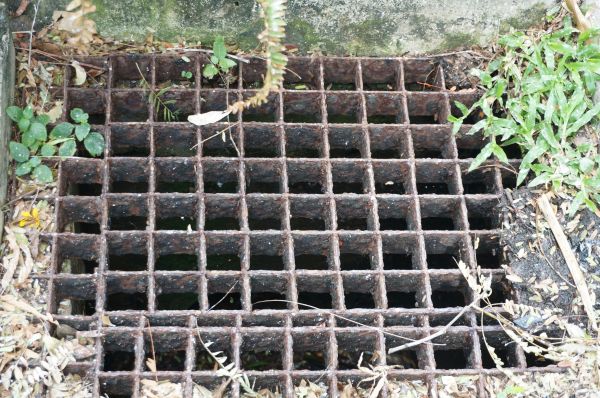 Yard Drain Cleaning in Lansing
