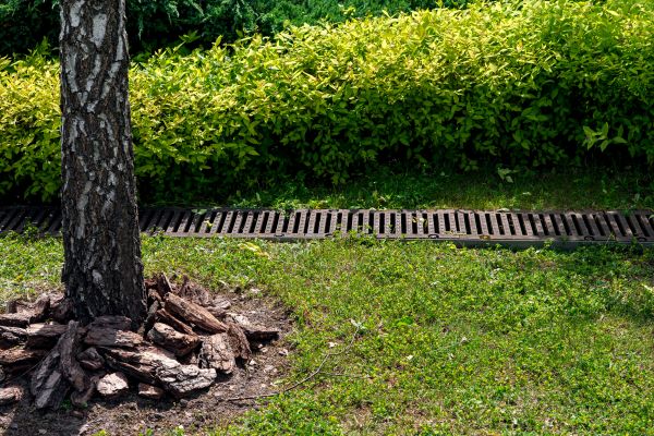 Wet Yard Drainage in Lansing