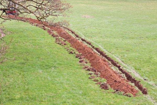 Cost of Swale Installation in Lansing