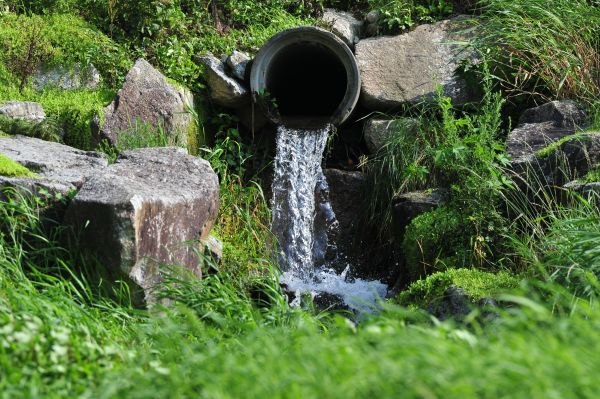 Water Redirection in Lansing