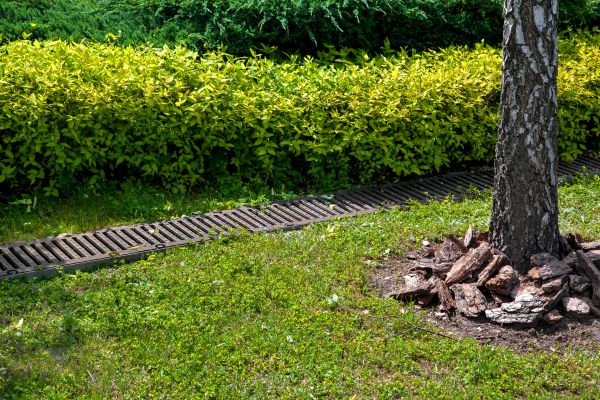 Residential Landscape Drainage in Lansing