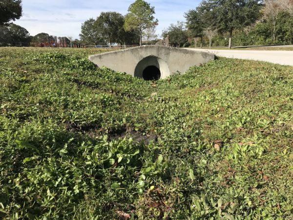 Cost of Swale Drainage Service in Lansing